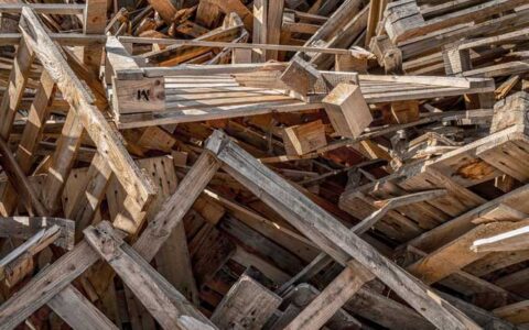Holz2